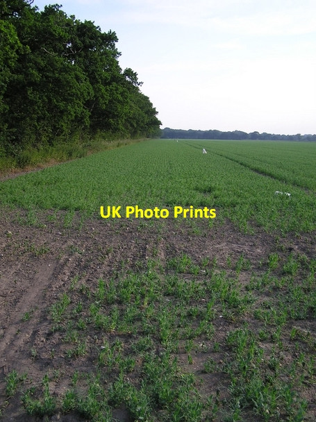 Photo 6"x4" Farmland, near Hickling Hickling Heath c2006