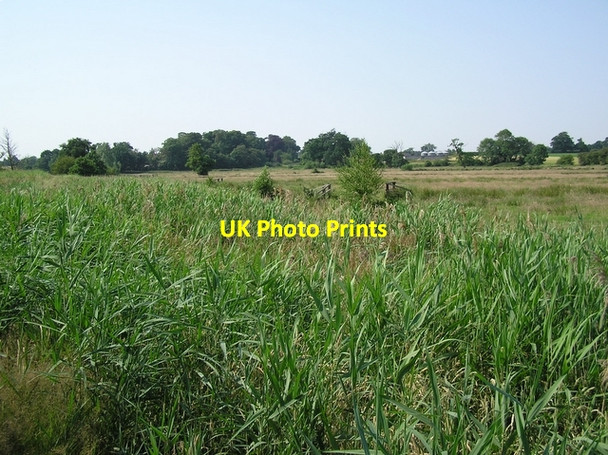 Photo 6"x4" Towards Grove Farm, Horning Upper Street\/TG3517 c2006