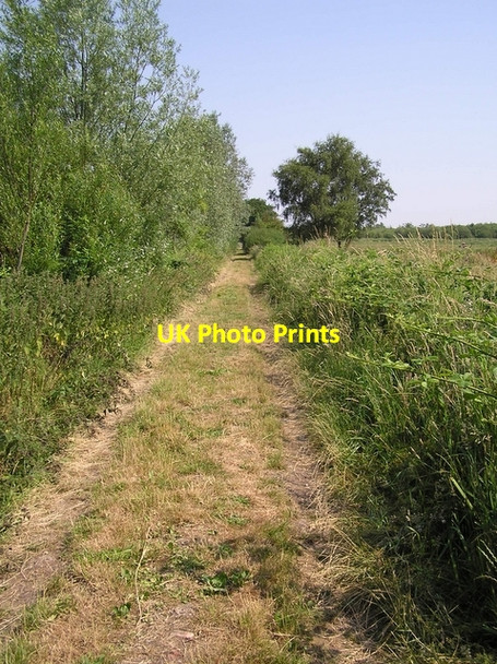 Photo 6"x4" Footpath, Horning Upper Street\/TG3517 c2006