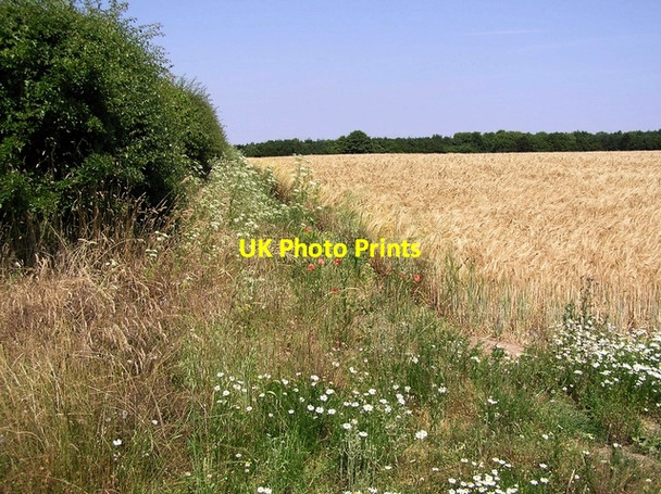 Photo 6"x4" Field edge, How Hill How Hill\/TG3719 c2006