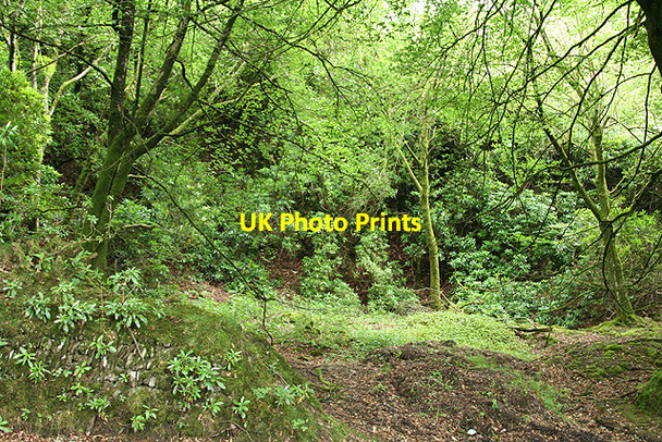 Photo 6"x4" Brompton Regis: old quarry Bury\/SS9427 c2006