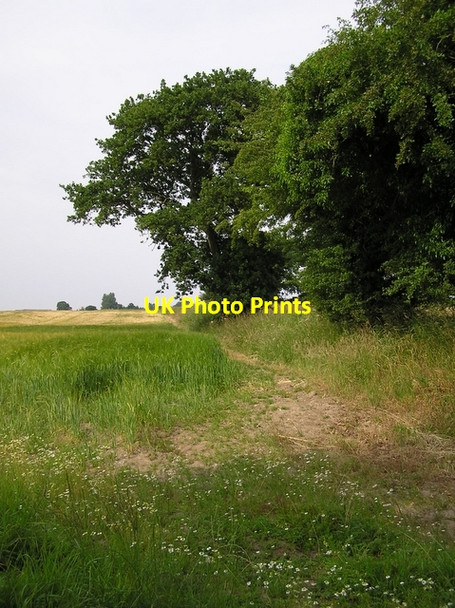 Photo 6"x4" Footpath, near Catfield Catfield c2006