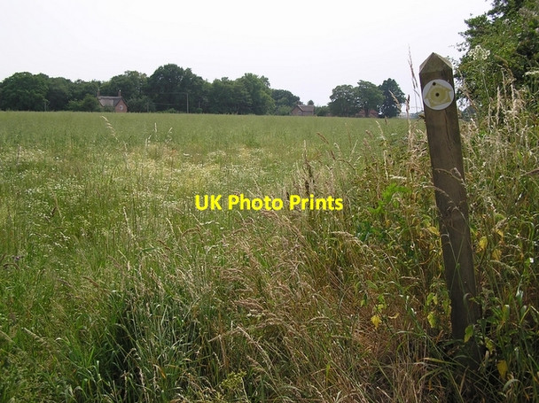 Photo 6"x4" Footpath, Sharp Street How Hill\/TG3719 c2006