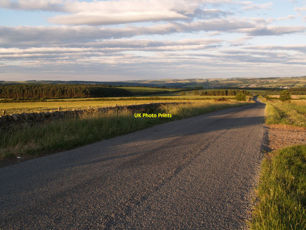 Photo 6"x4" Looking East on the Greymare Hill to Newlands road Shotleyfield c2006