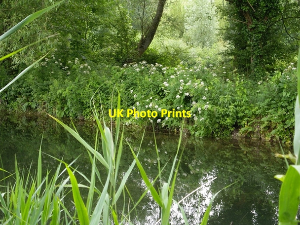 Photo 6"x4" River Itchen at Winnall Moors Winchester c2006 P1