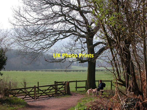 Photo 6"x4" Resting after climbing The Skirrid Brynygwenin c2005