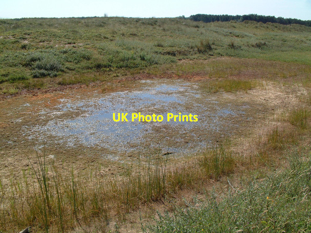 Photo 6"x4" Dune Slack Ainsdale-on-Sea c2006