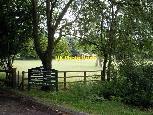 Photo 6"x4" Entrance to Butcher's Copse off the A33 Micheldever c2006