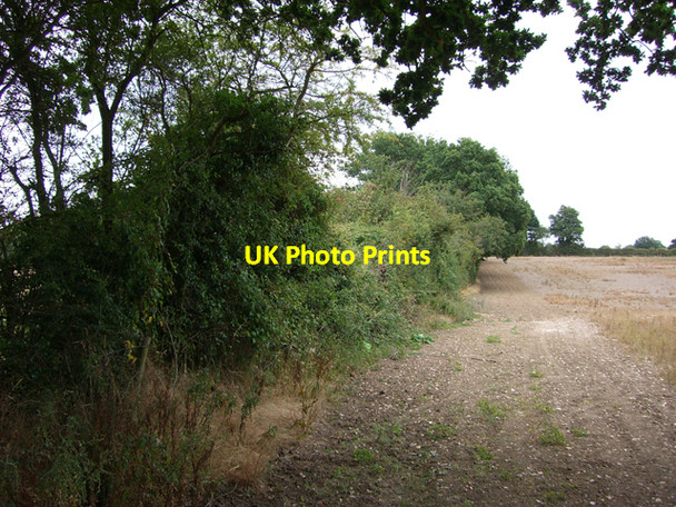 Photo 6"x4" Misley Copse across Farmland Wood Street Village c2006