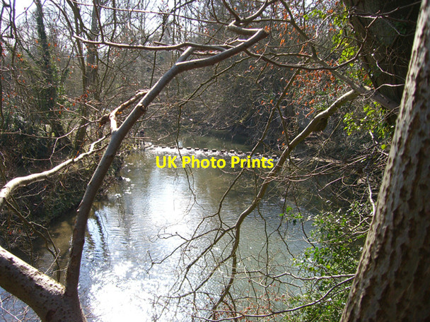 Photo 6"x4" Stepping Stones Dorking c2006