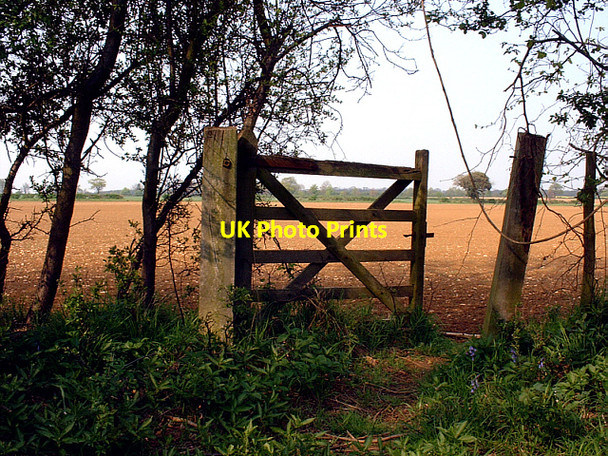 Photo 6"x4" Old gate in Castor Hanglands NNR Marholm c2004