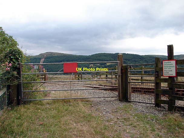 Photo 6"x4" Ynys Crossing Glandyfi c2006