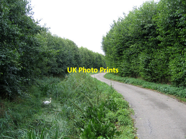 Photo 6"x4" Blue Gowt Drove, Pinchbeck, Lincs Spalding c2006