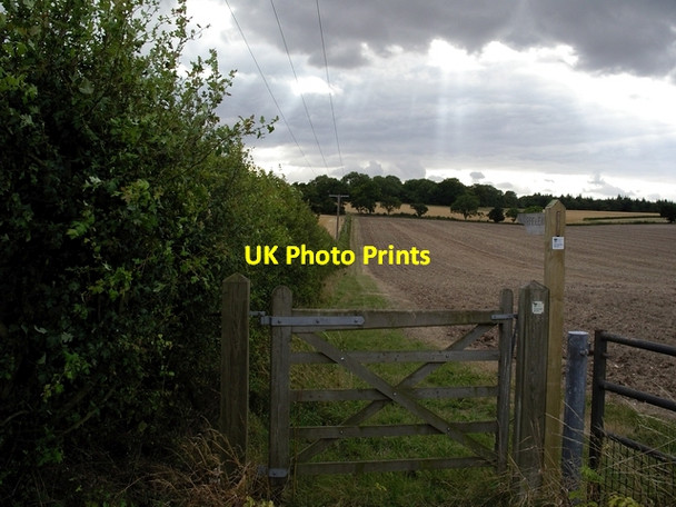 Photo 6"x4" Bridleway off the Overton Road Laverstoke c2006