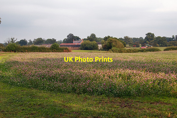 Photo 6"x4" Woodworth Green Farm Woodworth Green c2006