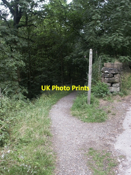 Photo 6"x4" Footpath towards Kinder Reservoir, Booth Farlands Booth c2006