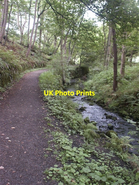 Photo 6"x4" Riverside footpath, Booth Farlands Booth c2006
