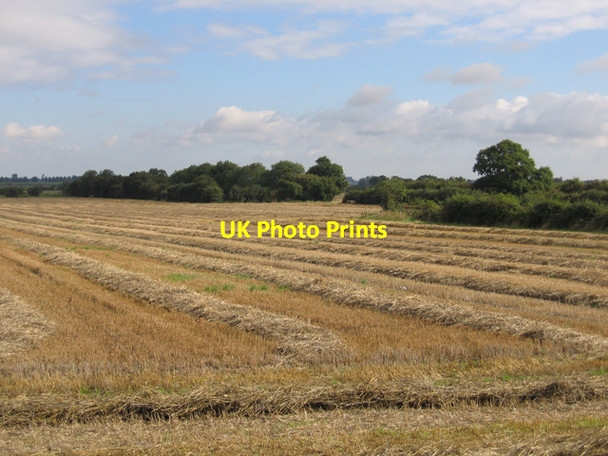 Photo 6"x4" Farmland north of Mepal Road, Witcham, Cambs Mepal c2006