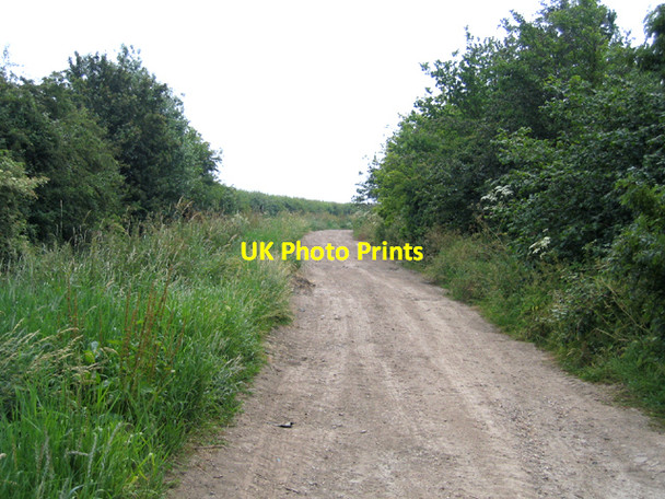 Photo 6"x4" Cut Bank, Wilburton, Cambs Wilburton c2006