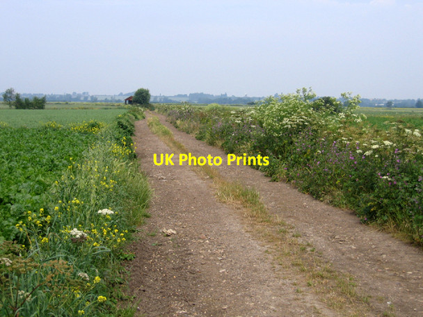 Photo 6"x4" Skeg Fen Drove, Wilburton, Cambs Wilburton c2006