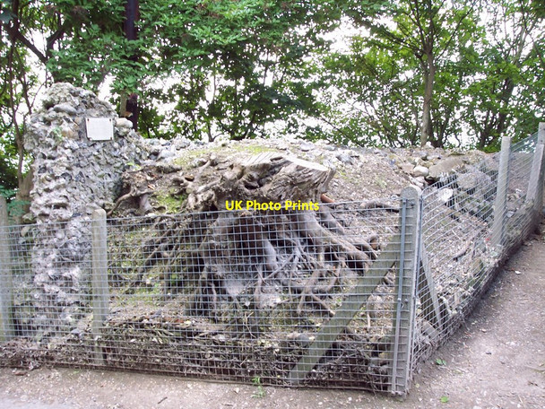 Photo 6"x4" Defensive wall, St Margaret's Bay St Margaret's at Cliffe c2006