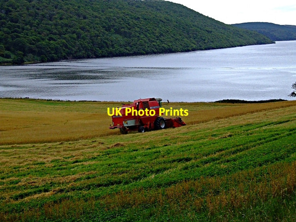 Photo 6"x4" Harvest time at Creich Farm Ardchronie c2006