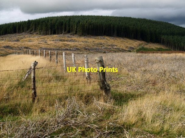 Photo 6"x4" Summit, Grieston Hill. Howford\/NT3136 c2006