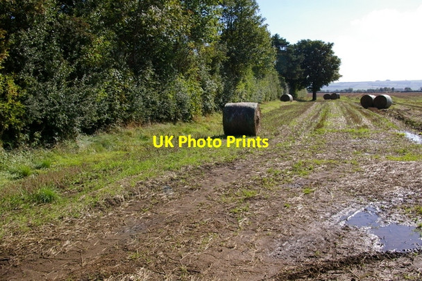 Photo 6"x4" Round Bales at Snainton Ings Snainton c2006