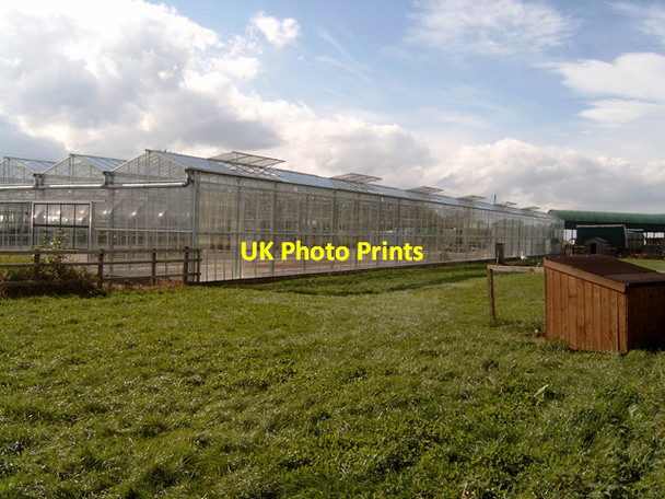 Photo 6"x4" Glasshouses at Bogheads (farm) near Auldearn Auldearn c2006