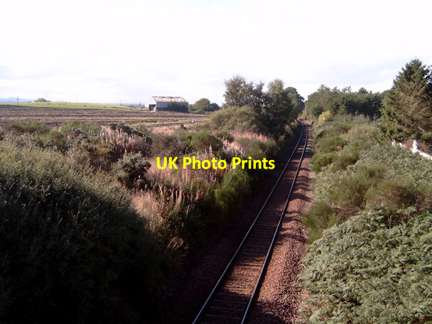 Photo 6"x4" Railway cutting near Easterton (farm) Auldearn Auldearn c2006