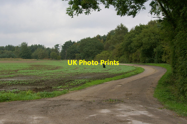 Photo 6"x4" Track Near Harswell Harswell c2006