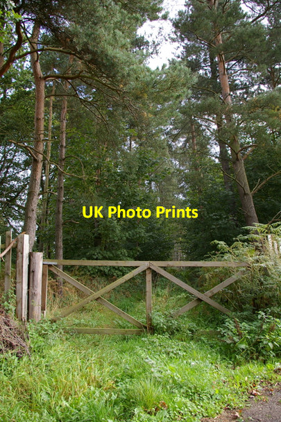 Photo 6"x4" Gate to Wood Everingham c2006
