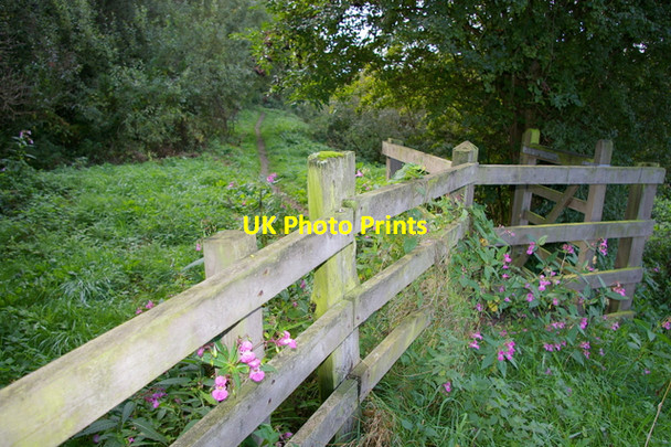 Photo 6"x4" Stile and Impatiens Gunby\/SE7035 c2006