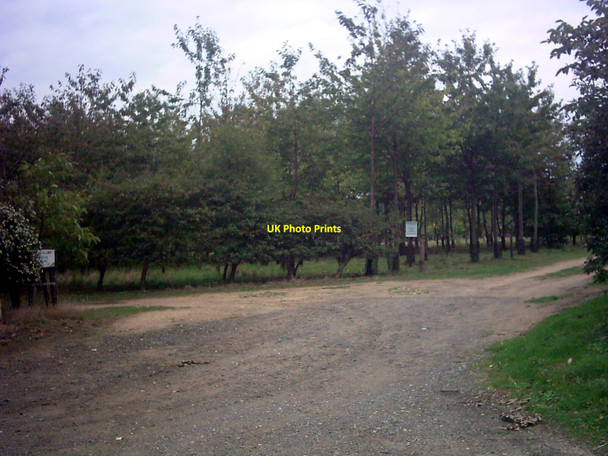 Photo 6"x4" The Greenwood Burial Ground Friday Street\/TM3760 c2006