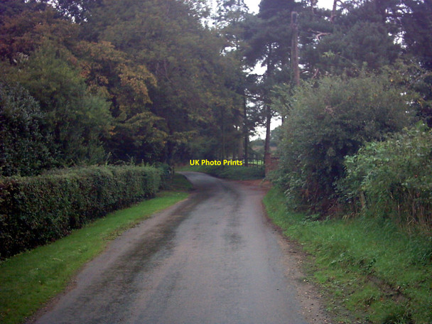 Photo 6"x4" Wash Road, Spexhall Broadway\/TM3978 c2006