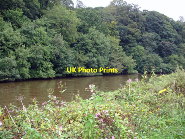 Photo 6"x4" Kingsley - Hatton's Hey Wood across the River Weaver Aston\/SJ5578 c2006