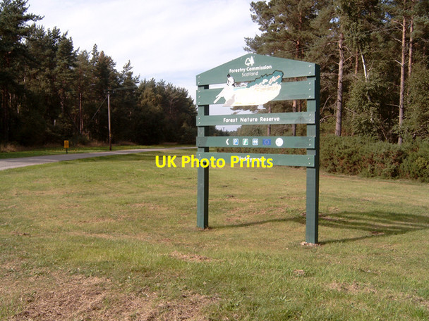 Photo 6"x4" Entrance to Cloddymoss Forest  Nature reserve Cloddymoss c2006