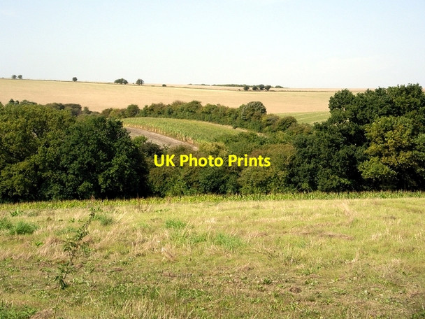 Photo 6"x4" Looking towards Fawley Down Morestead c2006
