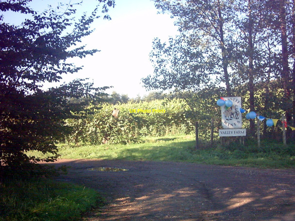 Photo 6"x4" Wissett Wines at Valley Farm Chediston Green c2006