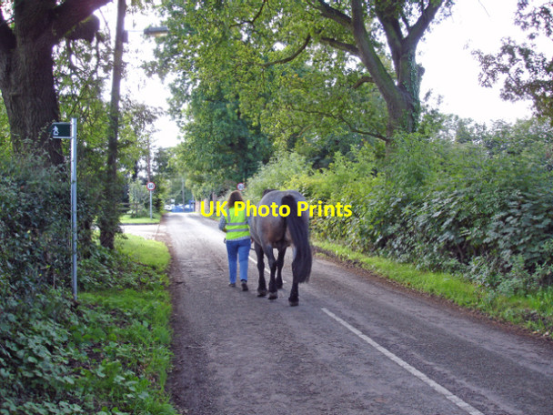 Photo 6"x4" Backford - Gordon Lane Backford c2006