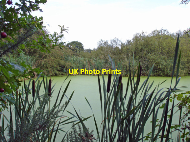 Photo 6"x4" Backford - pond near Acres Wood Dunkirk\/SJ3872 c2006