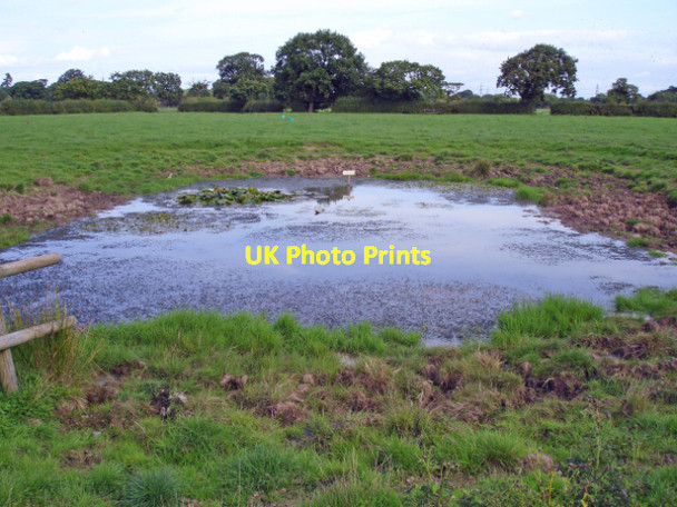 Photo 6"x4" Capenhurst - field pond Capenhurst c2006