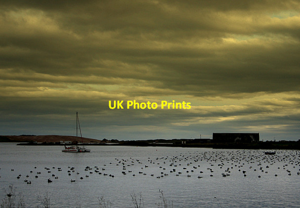 Photo 6"x4" The River Ythan at dusk, with flock of Eider duck Newburgh\/NJ9925 c2006