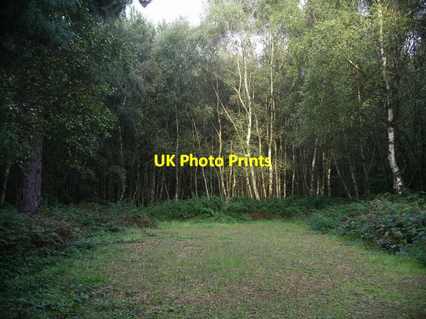 Photo 6"x4" Clearing, Sherwood Pines forest park Lidgett c2006