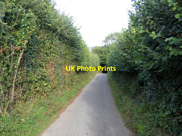 Photo 6"x4" Winfield Lane, Plaxtol, Kent Basted c2006