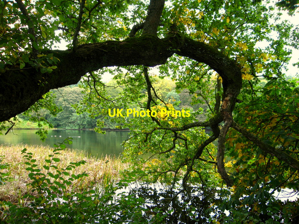Photo 6"x4" Autumn view of the  lake at Fyvie Castle Fyvie c2006
