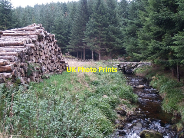 Photo 6"x4" Logpile and culvert bridge, Williamslee burn Williamslee c2006