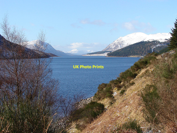 Photo 6"x4" Loch Ericht Loch Ericht Forest c2006 P1