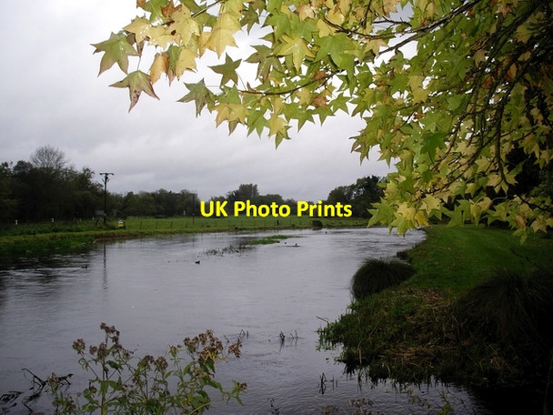 Photo 6"x4" River Test, between Fullerton and Chilbolton Chilbolton c2006