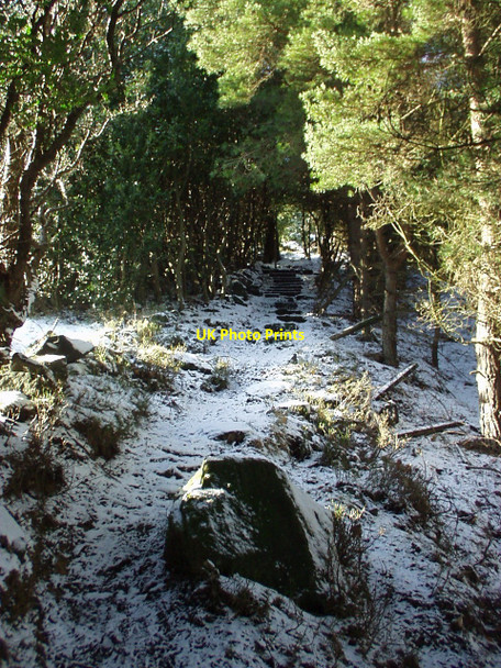 Photo 6"x4" Footpath above Daisy Bank Hebden Bridge c2003